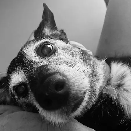 Holiday home La Maison De Timao Hannut