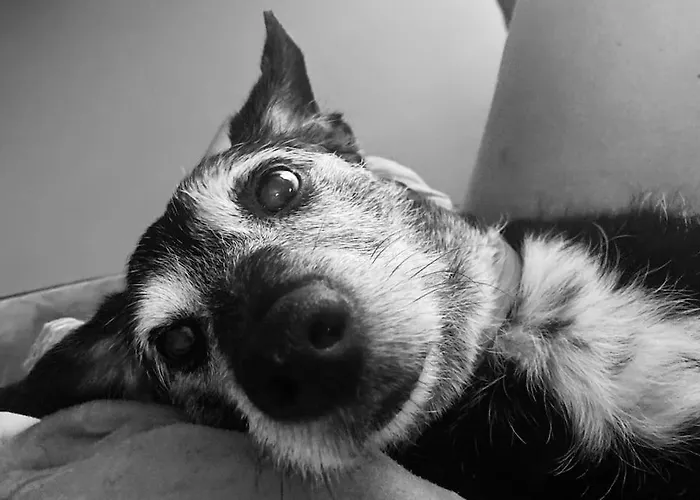 Casa de Férias La Maison De Timao Hannut