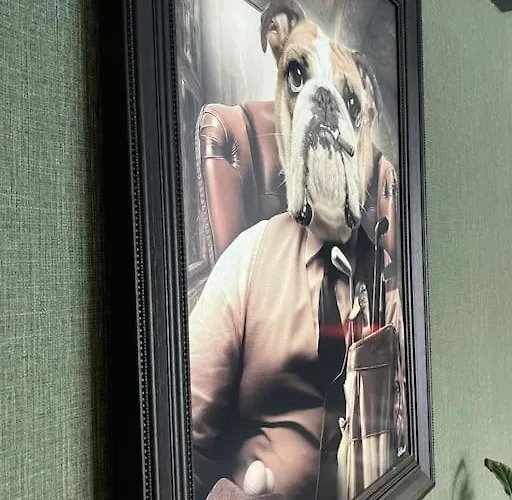 La Maison De Timao Hannut